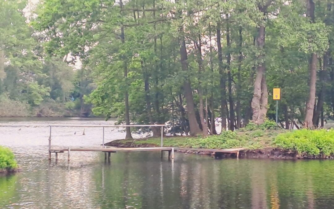 Geplante Verbindung zur Insel am Hahnentanger See