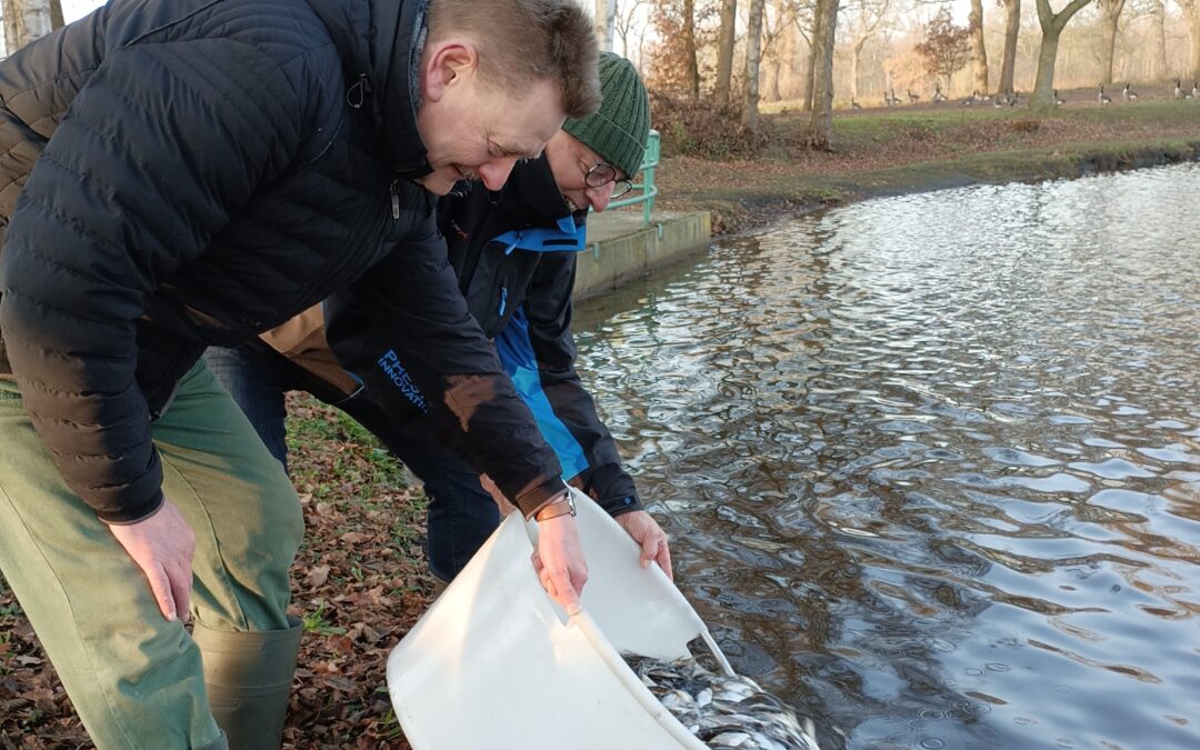Mit dem Winterbesatz schließen wir die Besatzmaßnahmen ab